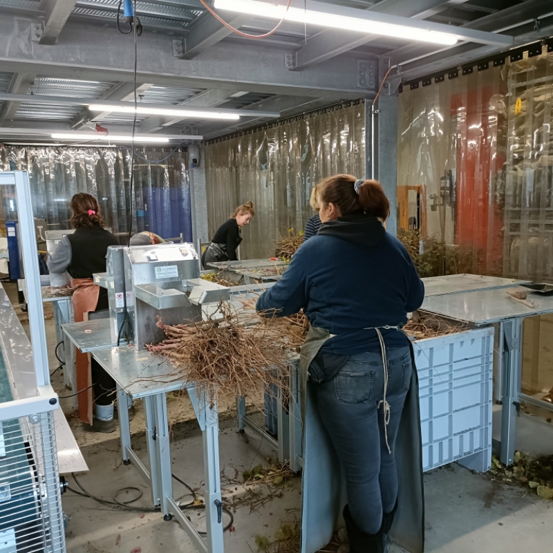 Innovation Italienne en Suisse : le partenariat strategique avec Multiplants Sarl - Gallery
